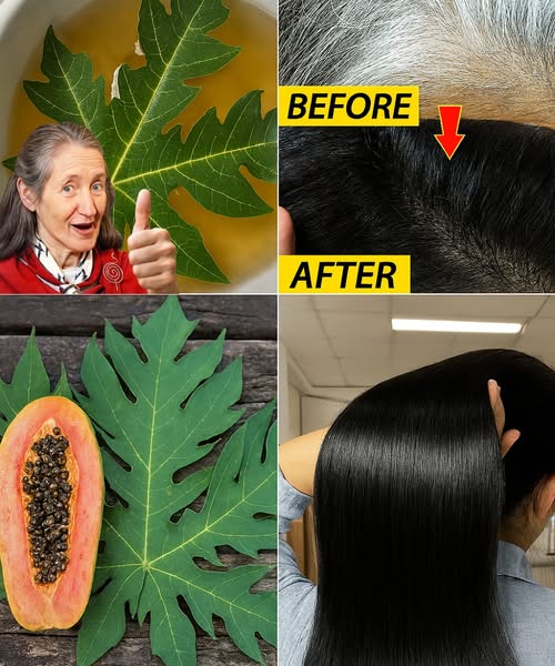 Transformación del cabello con hojas de papaya