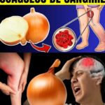 8 Mejores Alimentos que Disuelven Coágulos de Sangre