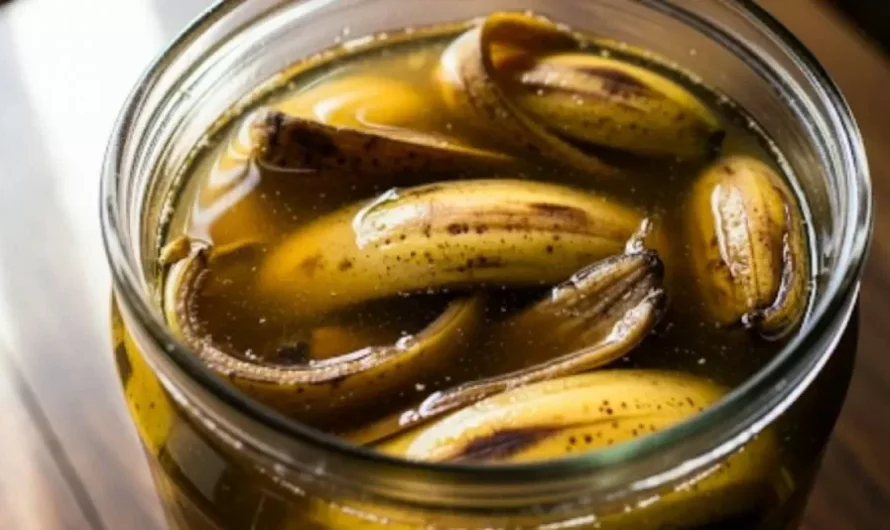 Cáscara de Banana con Vinagre: El Secreto Natural para Revitalizar tus Plantas