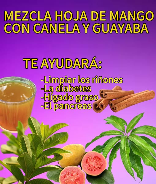 Mezcla de hoja de mango, canela y guayaba