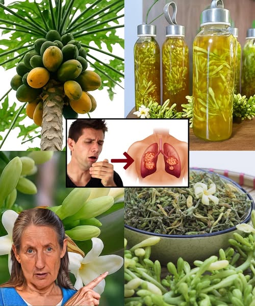 Frasco de flores de papaya con miel