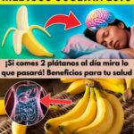 Descubre los Sorprendentes Beneficios de Comer Dos Plátanos al Día