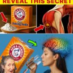 8 Beneficios del Bicarbonato de Sodio para la Salud de los Seniors