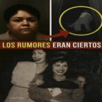 Revelaciones Impactantes sobre Yolanda Saldívar y su Confesión Acerca de Selena
