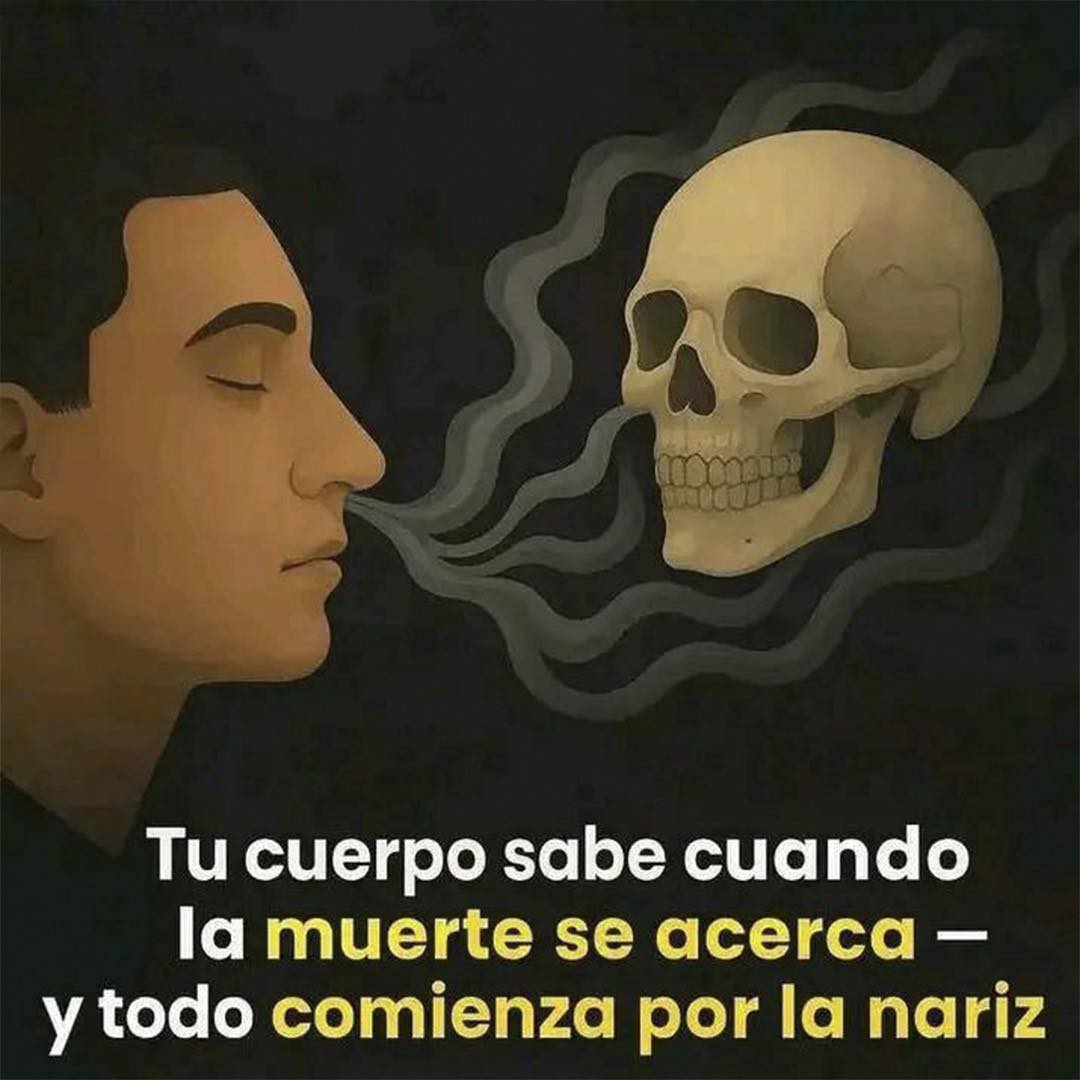 Cráneo con vapor oscuro dirigido hacia una persona