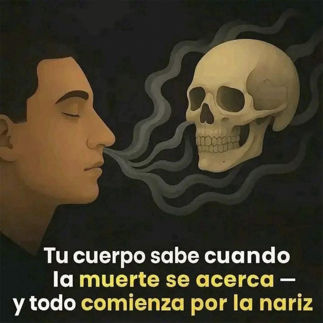 Ilustración de un hombre inhalando vapores oscuros que provienen de una calavera