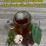Infusión Natural: Remedio Efectivo para la Salud del Páncreas y Más