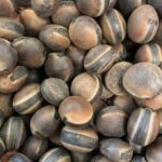 El Poder de la Semilla de Abrojo: Una Alternativa Natural y Saludable