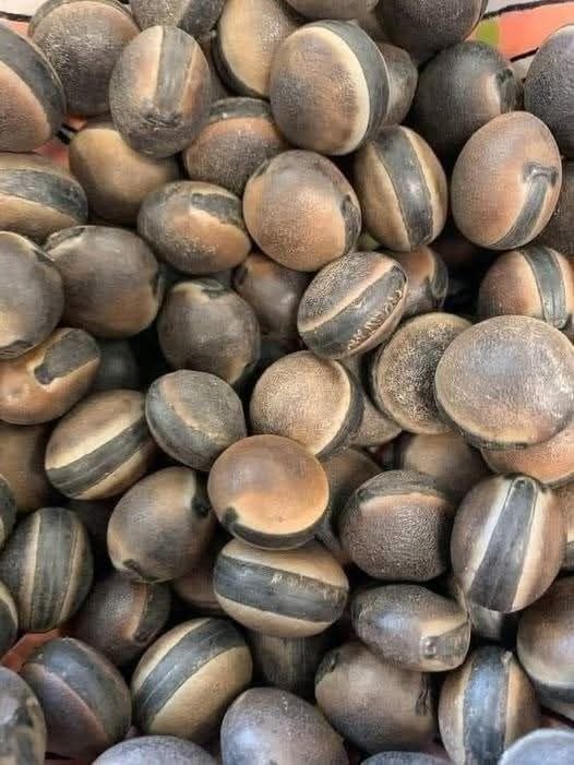 Semillas de abrojo