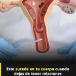 Impacto de la Abstinencia en el Cuerpo Humano: Salud Sexual y Bienestar