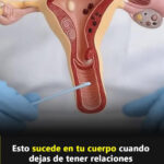 ¿Qué Sucede en Tu Cuerpo Cuando Dejas de Tener Relaciones Íntimas?
