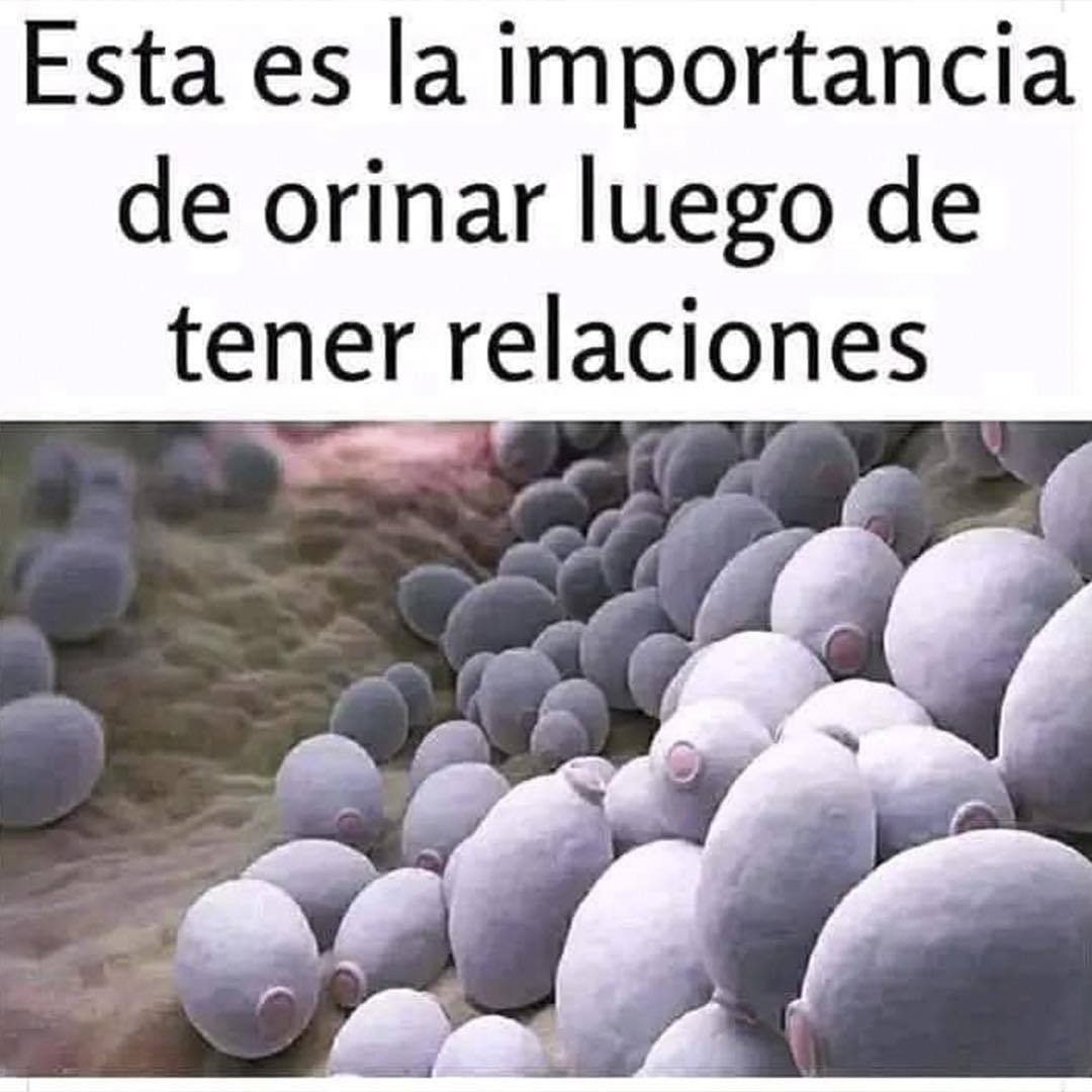 Importancia de orinar después de relaciones