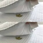 Coloca hojas de laurel bajo la almohada y observa lo que ocurre durante la noche