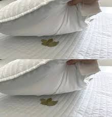 Coloca hojas de laurel bajo la almohada y observa lo que ocurre durante la noche