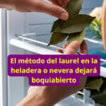 Aprovecha al Máximo las Maravillas del Laurel: Trucos con Hojas de Laurel en la Heladera y Más