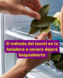 Aprovecha al Máximo las Maravillas del Laurel: Trucos con Hojas de Laurel en la Heladera y Más