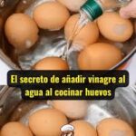 El secreto de agregar vinagre al agua al hervir huevos: trucos y beneficios