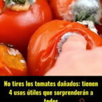 No tires los tomates dañados: 4 usos útiles que te sorprenderán