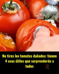 No tires los tomates dañados: 4 usos útiles que te sorprenderán