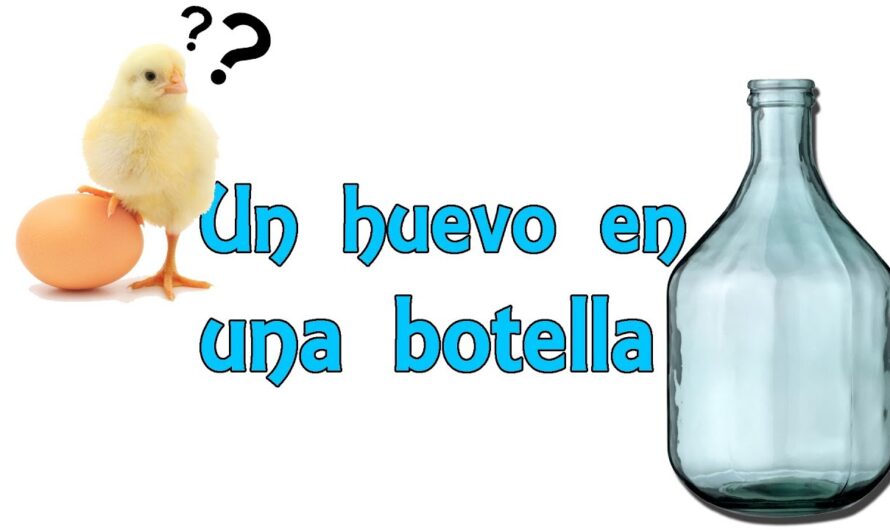 El secreto de los huevos en la botella: cómo transportarlos de forma segura y económica