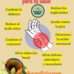 Hoja de Laurel: El Remedio Ancestral que Revoluciona tu Salud Articular y Circulación