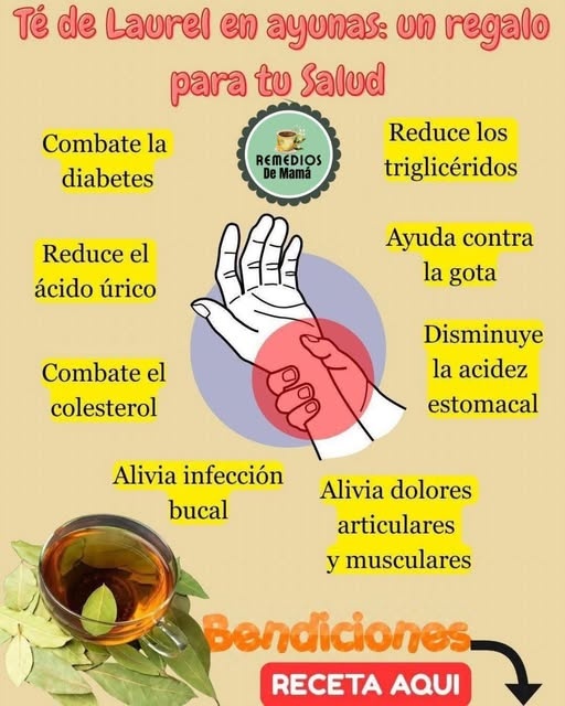 Té de Laurel en ayunas
