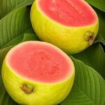 Los Increíbles Beneficios de la Guayaba para la Salud