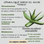 Beneficios del Aloe Vera: Un Remedio Natural para la Salud