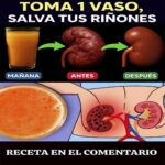 ¡Recupera la Salud de Tus Riñones con Esta Sencilla Receta de Jugo!