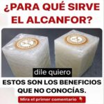 Descubre los Inesperados Beneficios del Alcanfor para tu Salud
