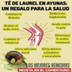 Descubre los Poderes del Té de Laurel en Ayunas: Un Remedio Natural para Mejorar tu Salud