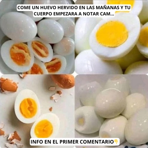Huevos hervidos en diferentes etapas de preparación