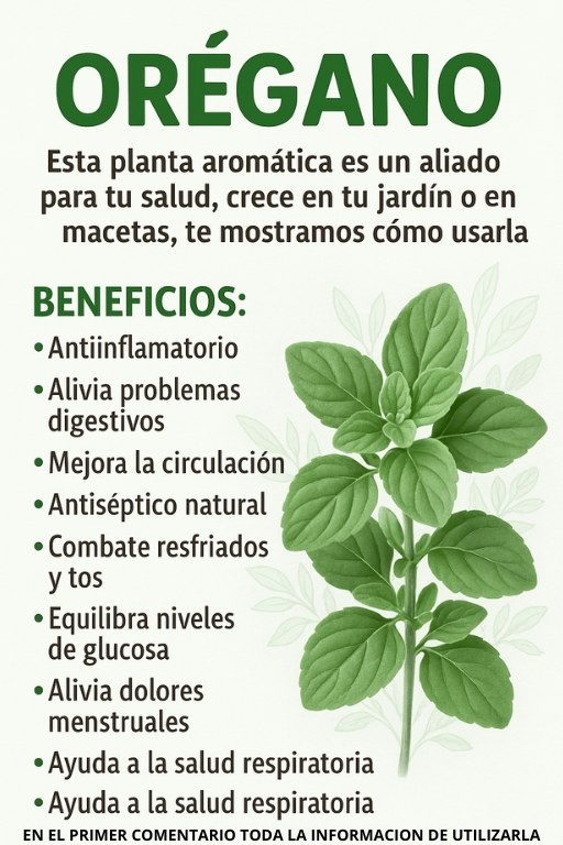 Hojas de Orégano