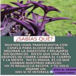 Transforma tu Salud: Beneficios de la Tradescantia con Canela