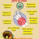 Hoja de Laurel: Remedio Ancestral para Rodillas, Circulación y Bienestar