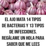 Los Poderosos Beneficios del Ajo: Tu Aliado Natural para la Salud