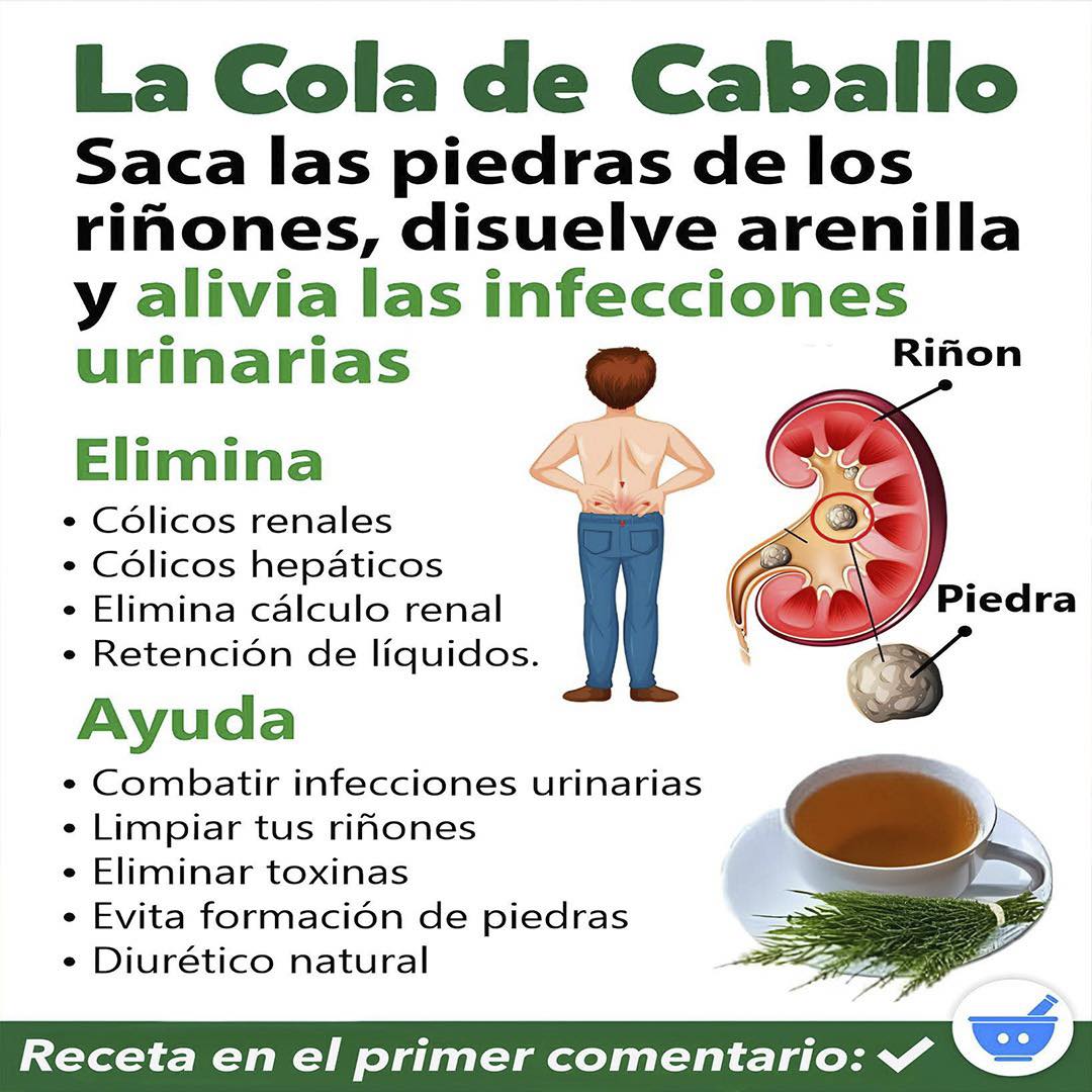 Infusión de Cola de Caballo