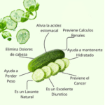 Descubre los Increíbles Beneficios del Pepino: Un Aliado para tu Salud y Bienestar