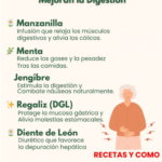 Plantas que Alivian Hinchazón y Mejoran la Digestión
