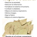 Elixir de Hojas de Laurel: Infusión Matinal para Regular Glucosa, Colesterol y Ácido Úrico
