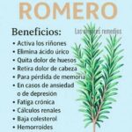 Los Maravillosos Beneficios del Romero: Usos y Propiedades para la Salud