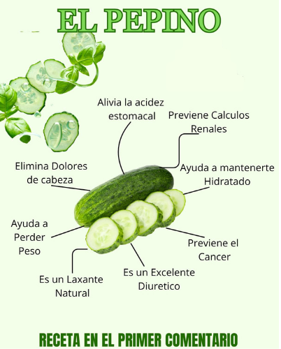 Beneficios del Pepino para la Salud