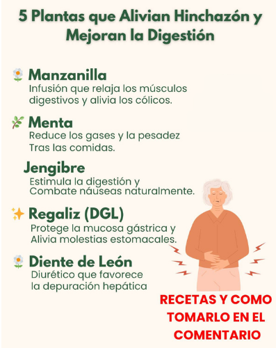5 Plantas que Alivian Hinchazón y Mejoran la Digestión