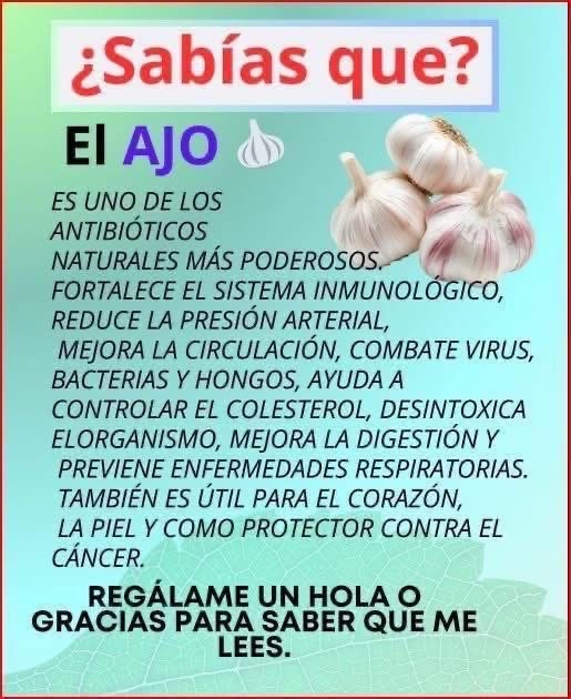 Beneficios del ajo para la salud
