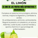 El Limón: Un Fruto Medicinal y Depurativo para Tu Salud