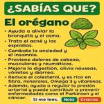 El Orégano: Tu Aliado Natural para la Salud y Remedios Caseros