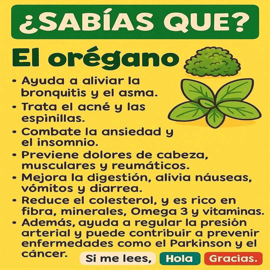 Propiedades del Orégano