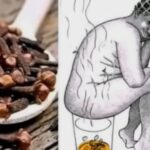 El Poder Del Clavo Dulce: Detoxificante Natural Para Mujeres