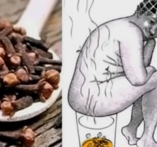 Clavo dulce, una especia poderosa