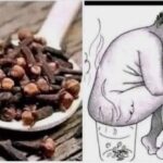 Clavo de Olor: El Poderoso Remedio Natural Que Toda Mujer Debería Conocer